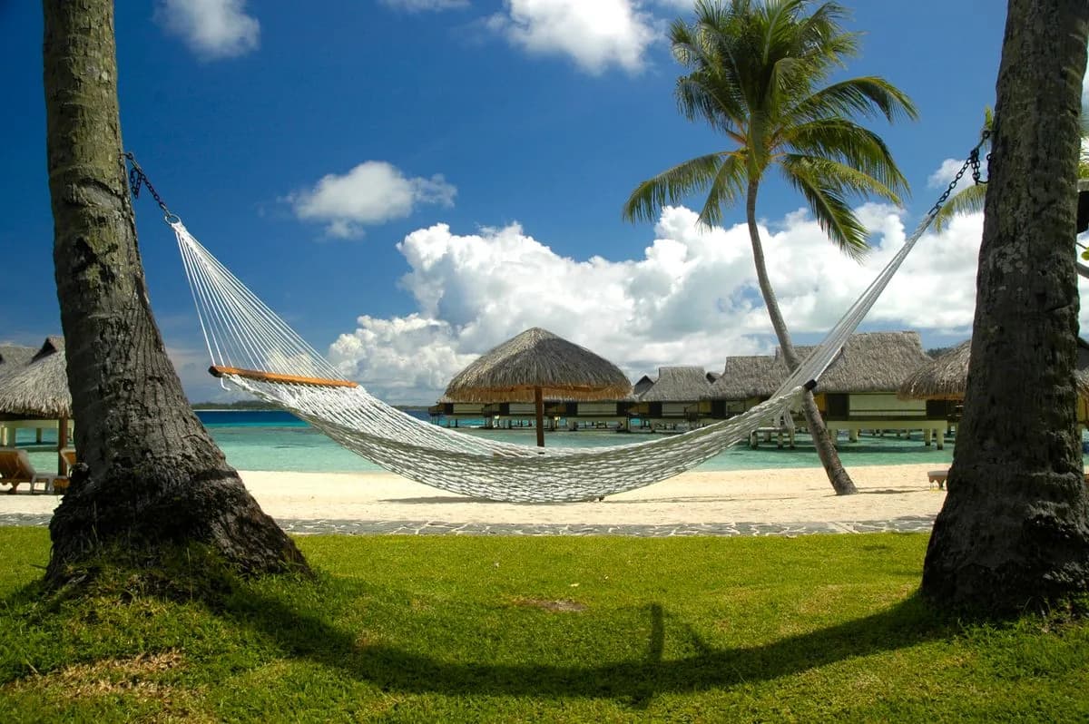 A hammock between palms with bungalows beyond