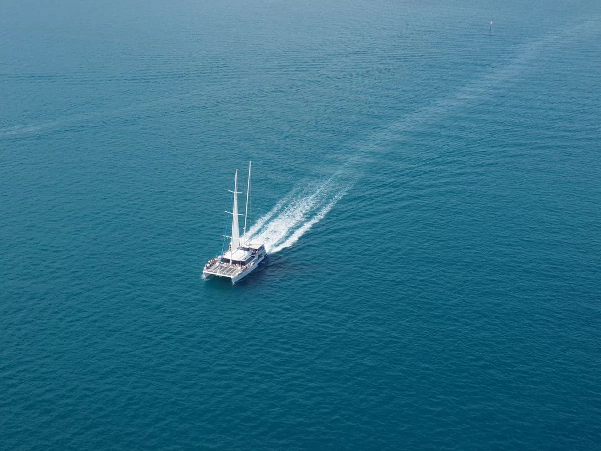 A catamaran under sail on deep blue water