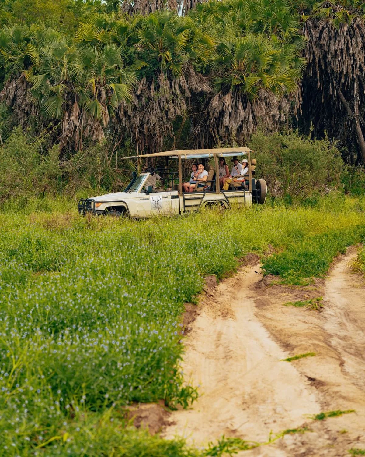A safari vehicle on a game drive through the bush