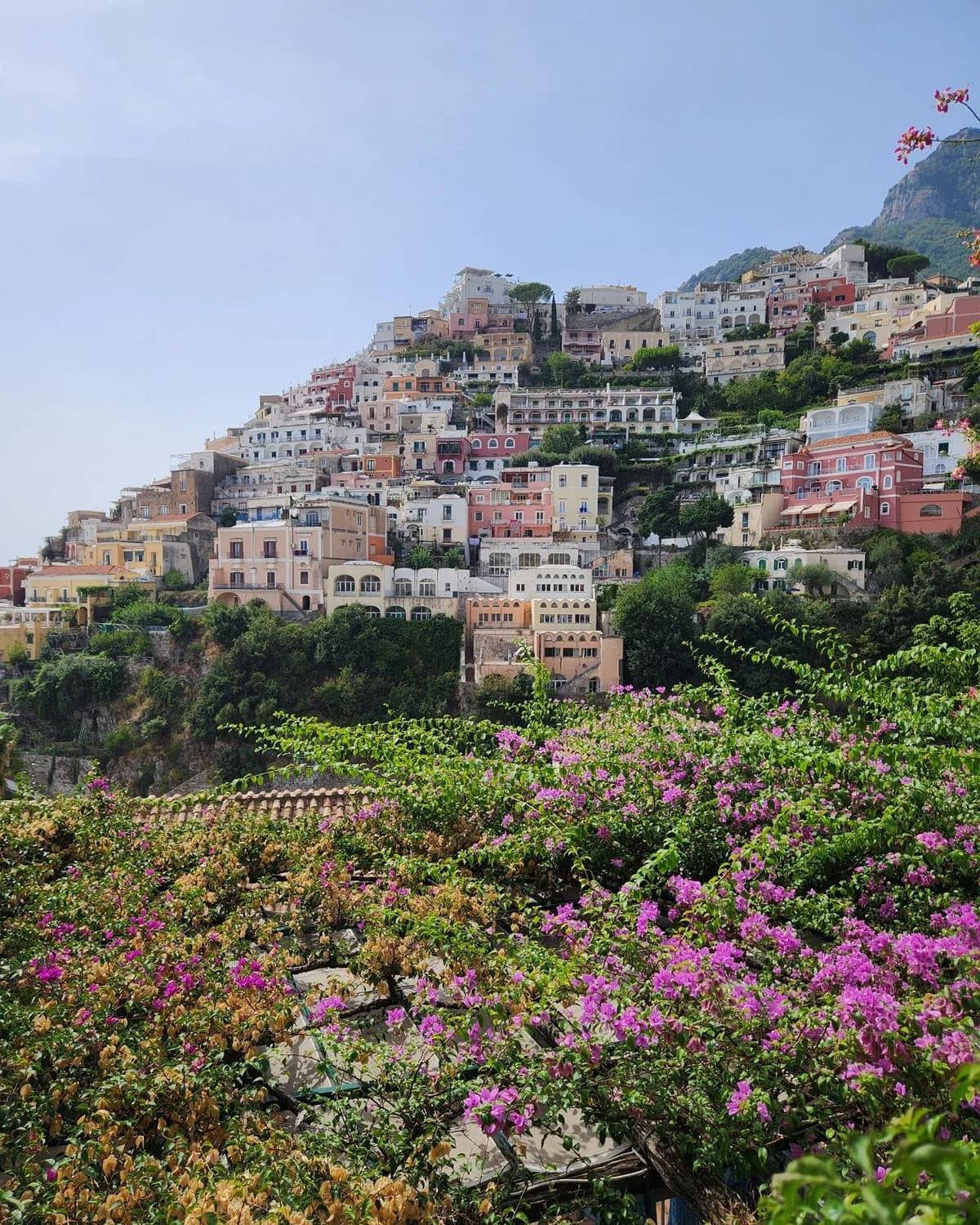 Bougainvillea framing the hillside houses of Positano